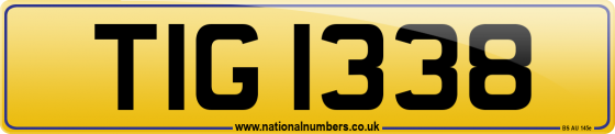 TIG 1338