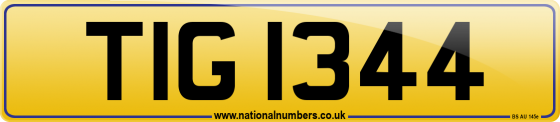 TIG 1344