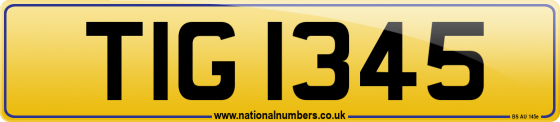 TIG 1345