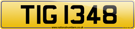 TIG 1348