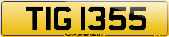 TIG 1355