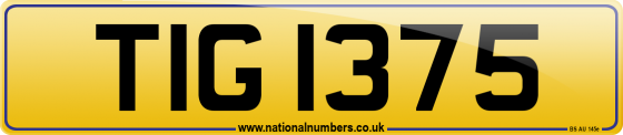 TIG 1375