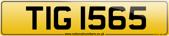 TIG 1565