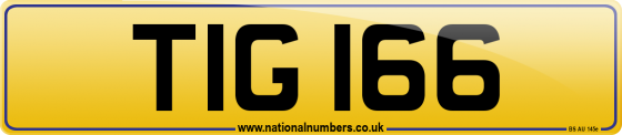 TIG 166