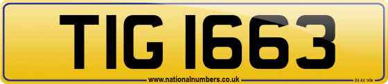 TIG 1663
