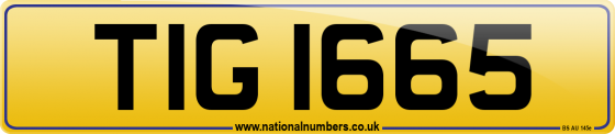 TIG 1665