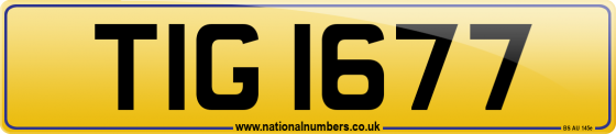 TIG 1677
