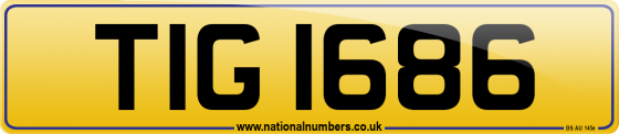 TIG 1686
