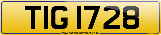 TIG 1728