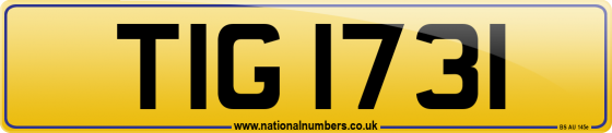 TIG 1731