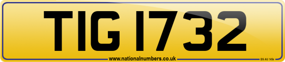 TIG 1732