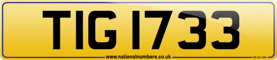 TIG 1733