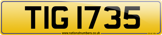 TIG 1735
