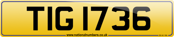 TIG 1736