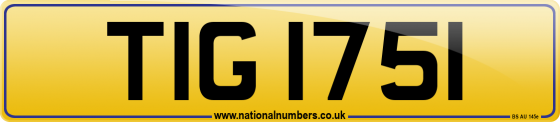 TIG 1751