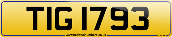 TIG 1793