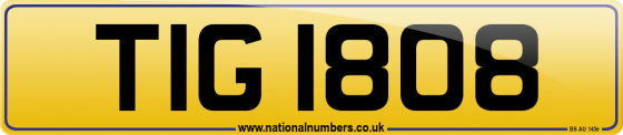 TIG 1808