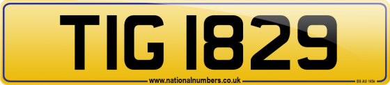 TIG 1829