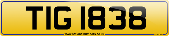 TIG 1838