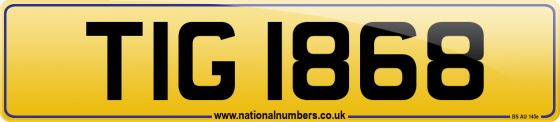 TIG 1868