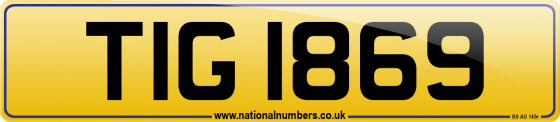 TIG 1869