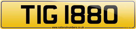 TIG 1880