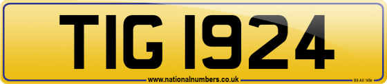 TIG 1924