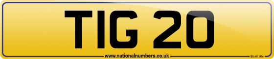 TIG 20