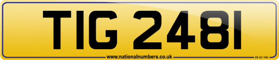 TIG 2481