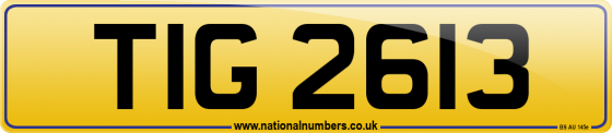 TIG 2613