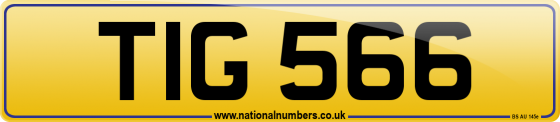 TIG 566