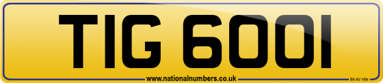 TIG 6001