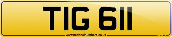 TIG 611
