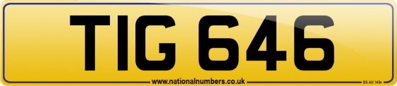 TIG 646