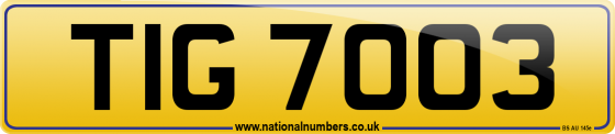 TIG 7003