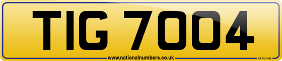 TIG 7004