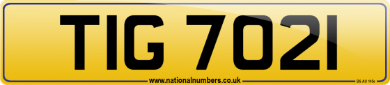 TIG 7021