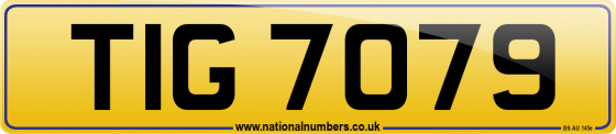TIG 7079