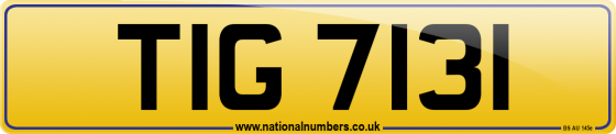 TIG 7131
