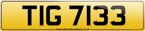 TIG 7133