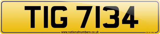 TIG 7134