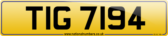 TIG 7194