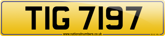 TIG 7197