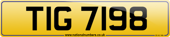TIG 7198