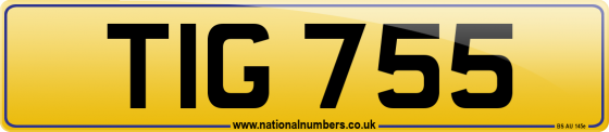 TIG 755