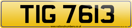 TIG 7613