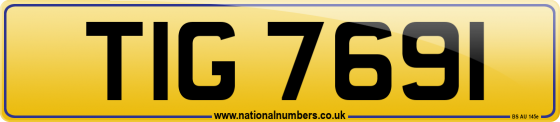 TIG 7691