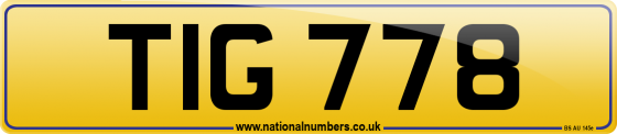TIG 778