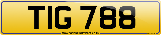 TIG 788