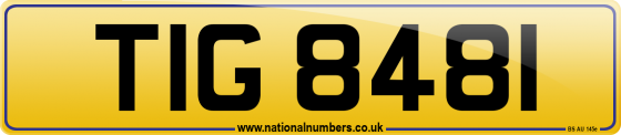 TIG 8481